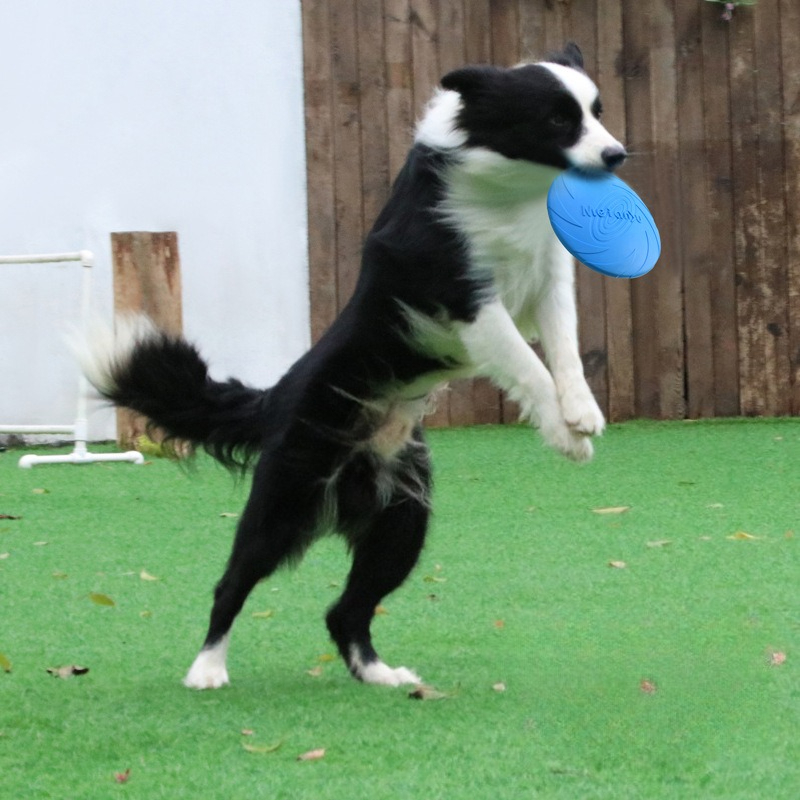 Frisbee para perros, frisbee e - Frisbee Freestyle Disc reseña y precio