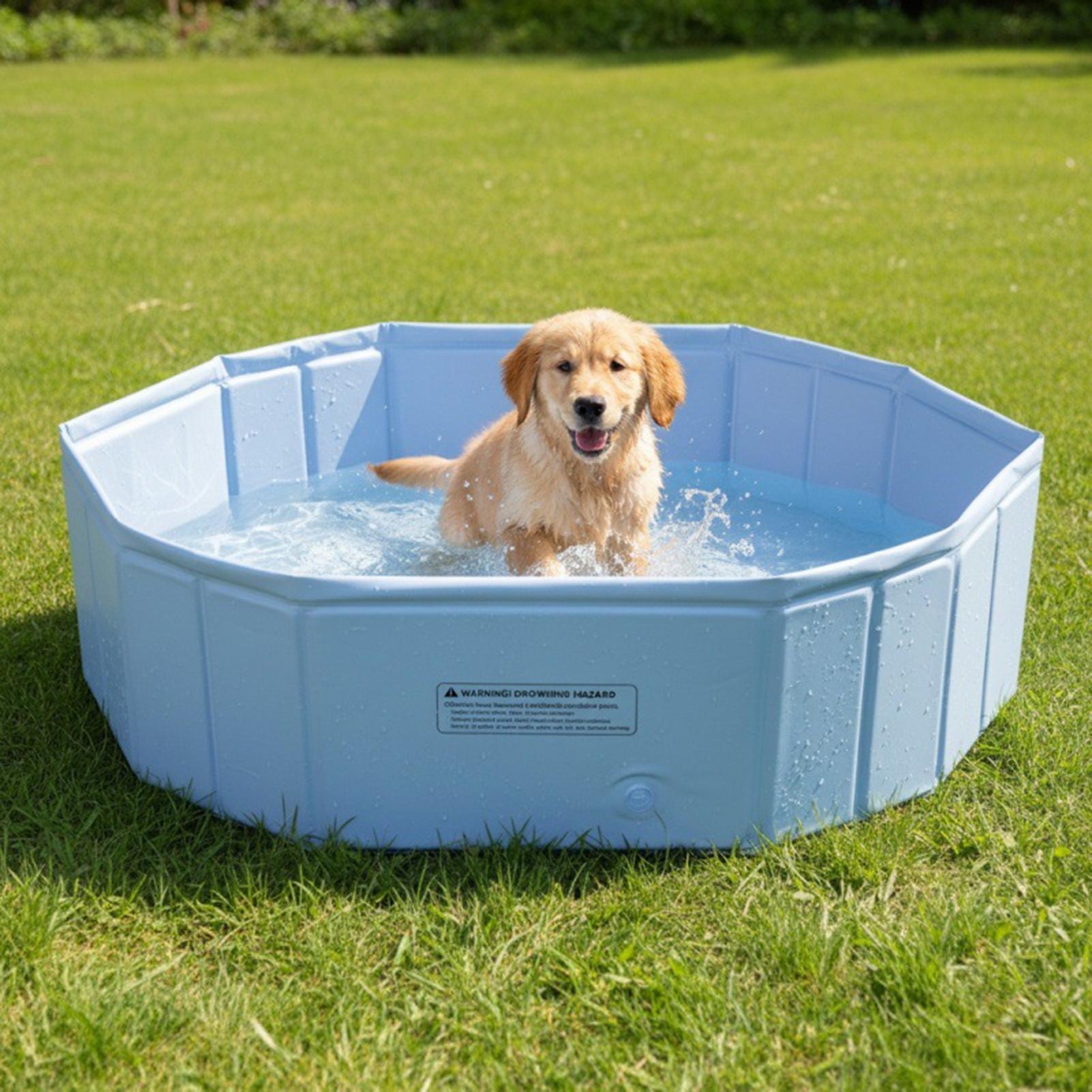 Piscina Plegable para Mascotas - Party Games Kids Outdoor reseña y precio