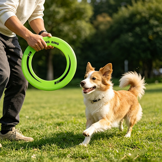 Frisbee de anillo hueco durade - Frisbee Freestyle Disc reseña y precio